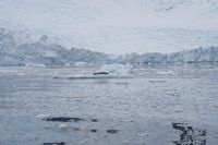
DSC00211